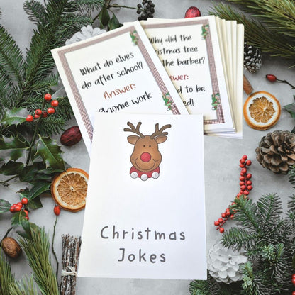 Children's Kids Christmas Jokes 20, Cracker/Stocking Fillers I Table Decor I Advent Calendar Filler I Christmas Crackers Craft I Festive Fun