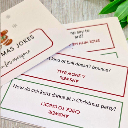 Christmas Jokes: Funny Holiday Cards, Kids Party Favours - Cracker - Small - 15 cards 30 jokes